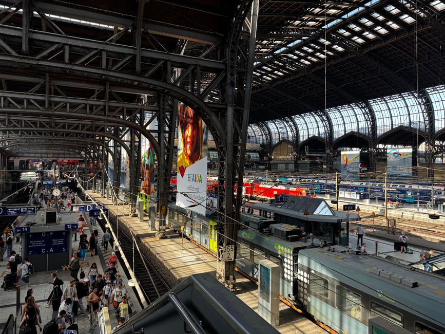 A bustling view of Hamburg's central train station with passengers and trains under the iconic glass roof.